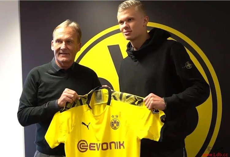 奏与效率的 奏与效率的